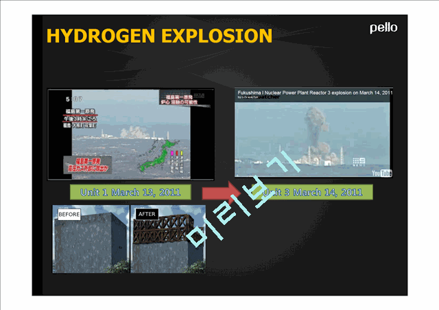 FUKUSHIMA RADIOACTIVE CRISIS   (7 )